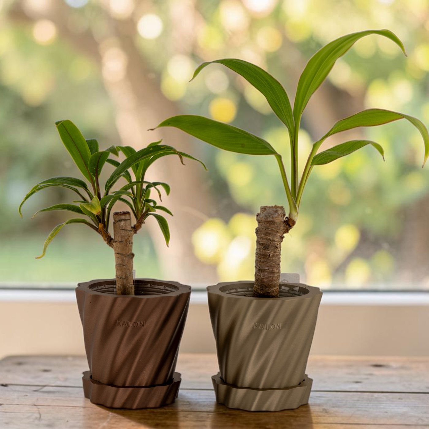 窓辺に並べた小さな植木鉢 Kyma と観葉植物