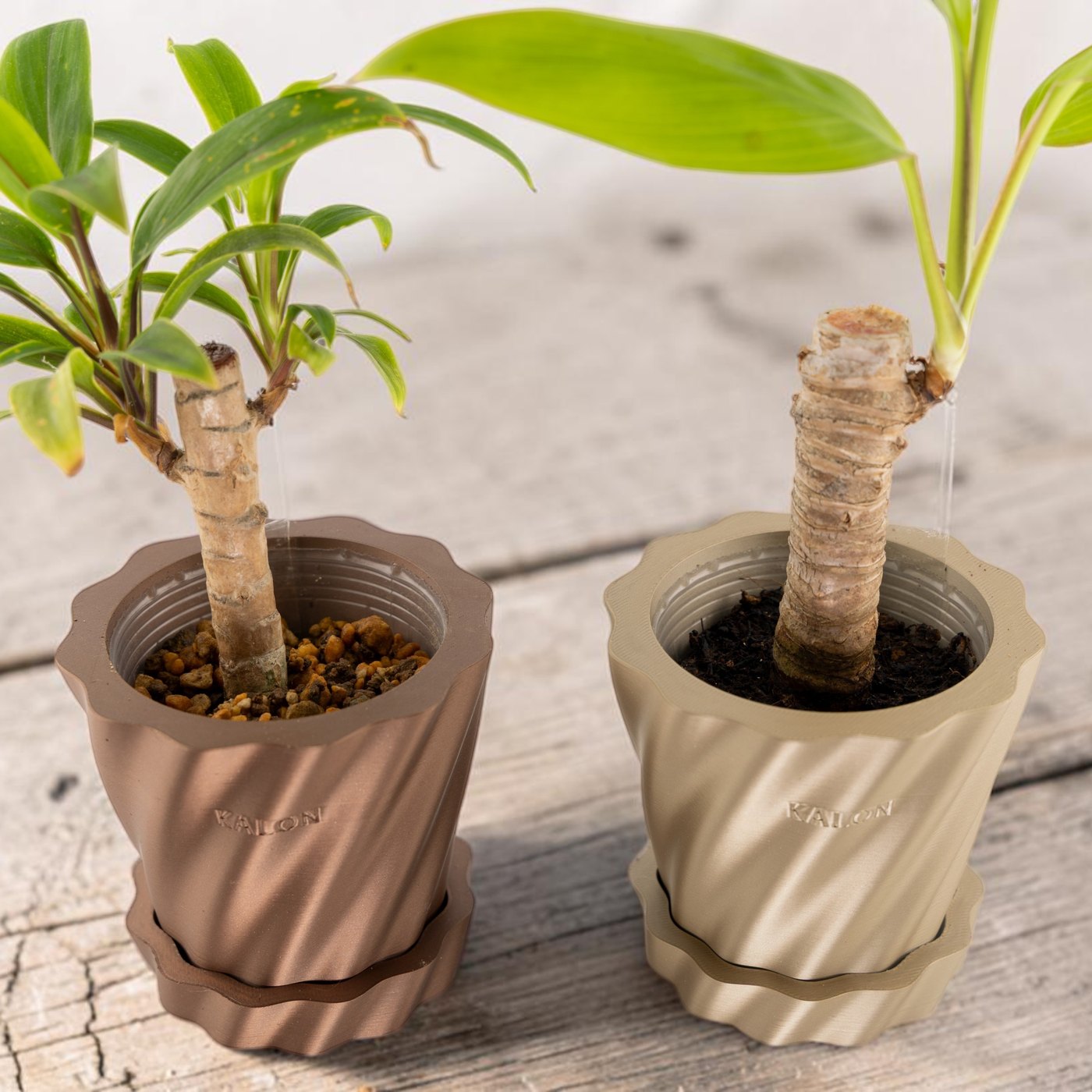 2号のビニールポットのまま入れた植木鉢 Kyma
